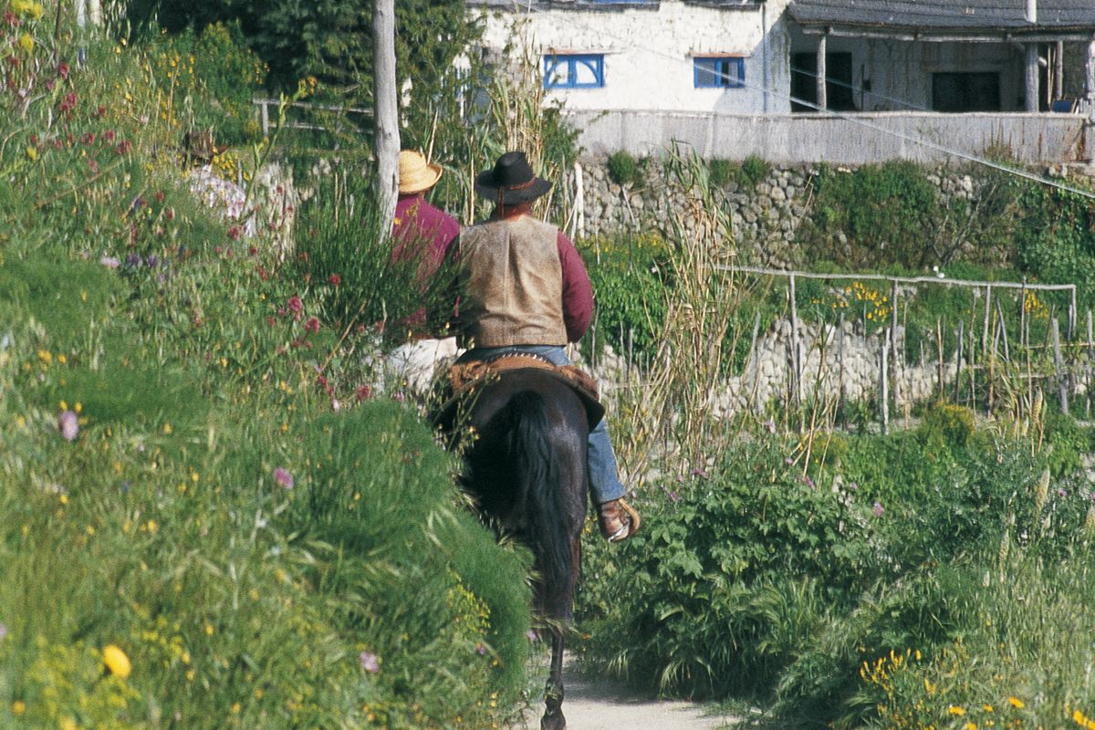 Equitazione a Ischia