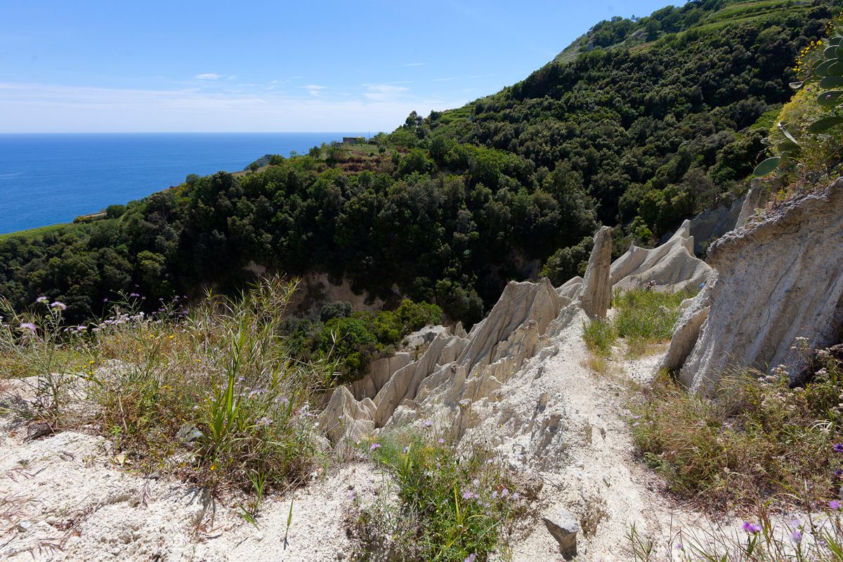 Escursioni a Ischia